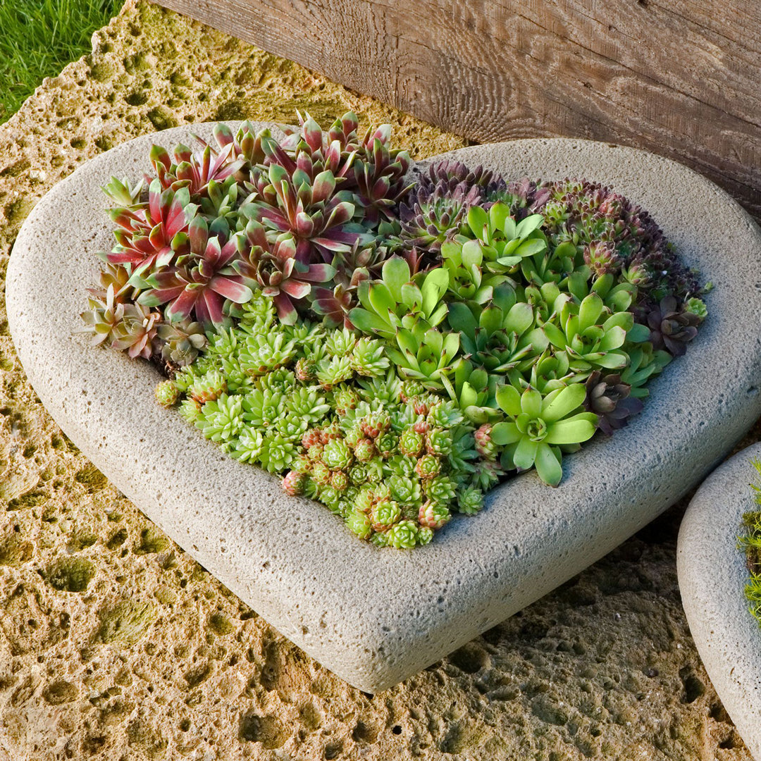 Sweetheart Planter Workshop Ticket