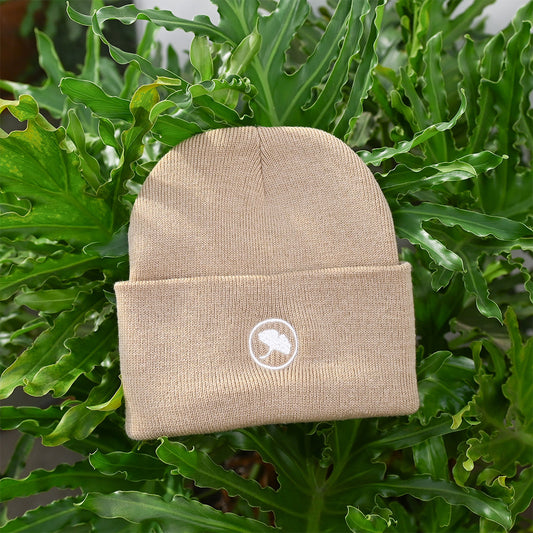 Ginkgo Beanie