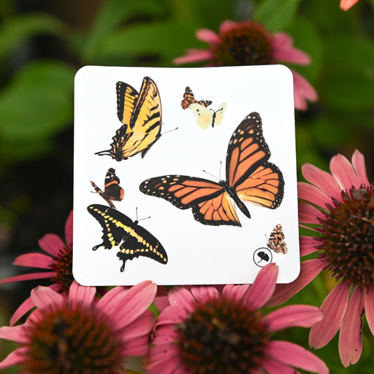 Butterfly Sticker