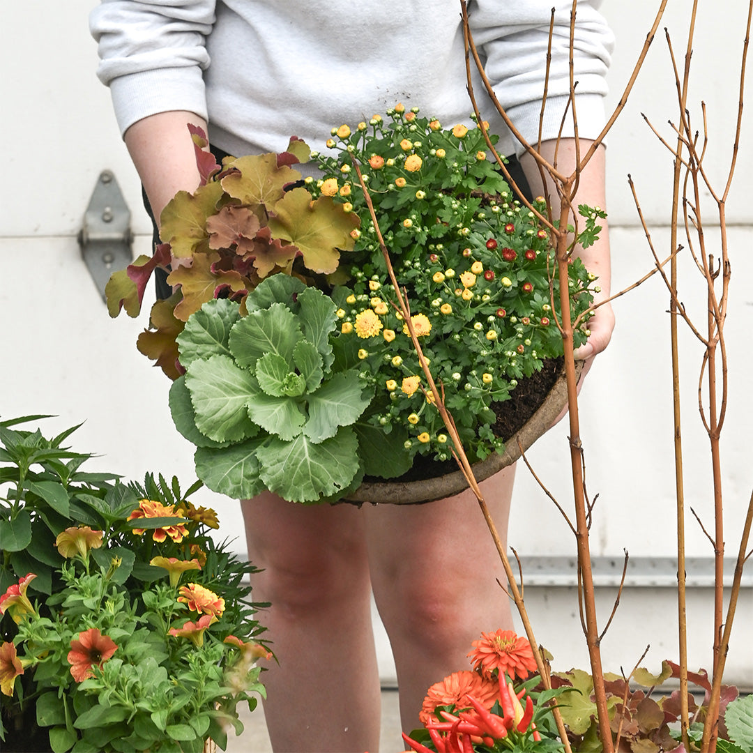 Fall Container Design Workshop Ticket