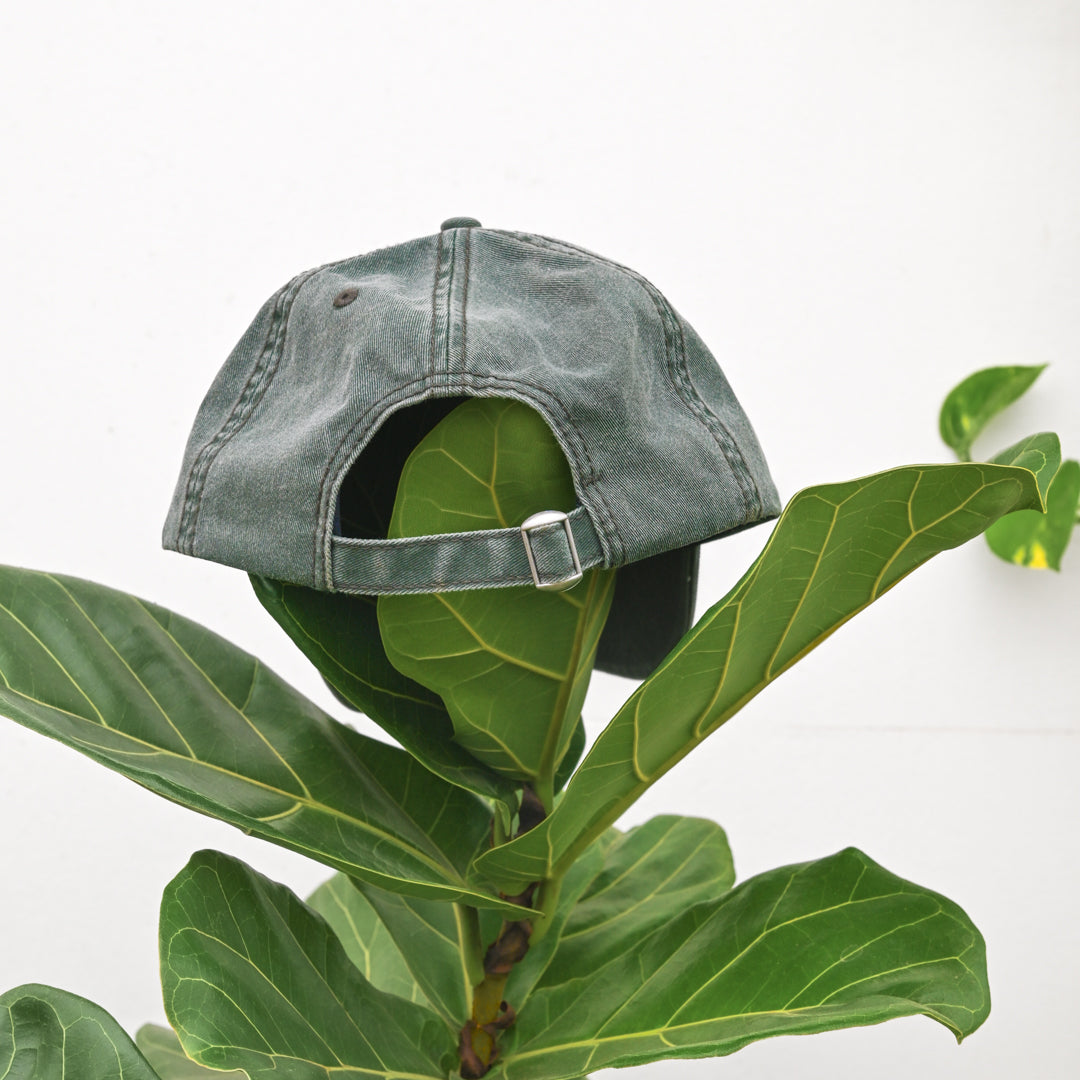 Ginkgo Twill Hat