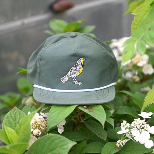Meadowlark Hat