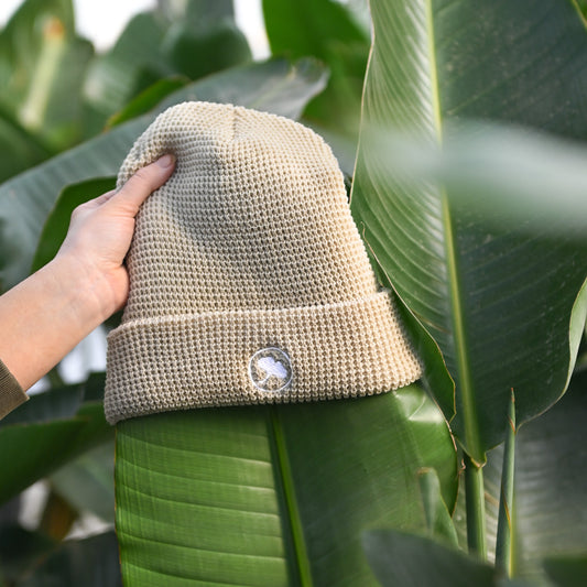 Waffle Ginkgo Beanie