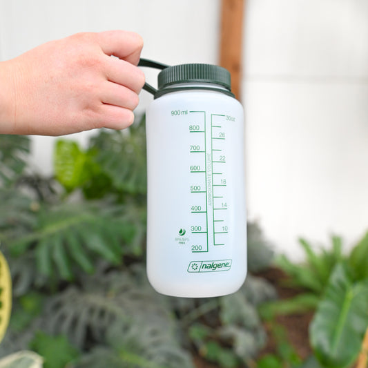Ginkgo Nalgene Bottle
