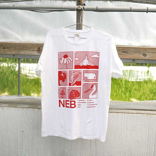 Nebraska Grid Short Sleeve T-Shirt