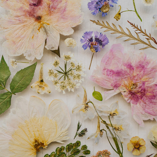 Pressed Flower Workshop