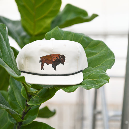 Bison Hat