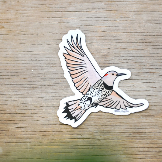 Northern Flicker Sticker