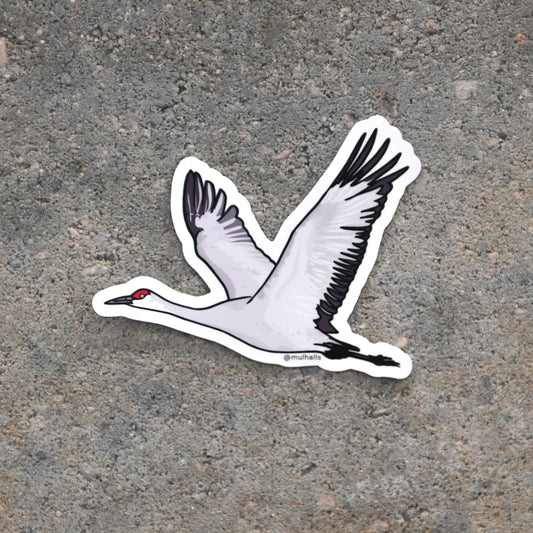 Sandhill Crane Sticker
