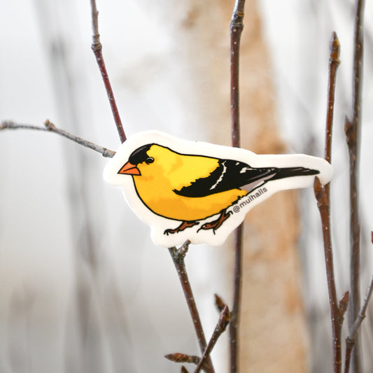 Goldfinch Sticker